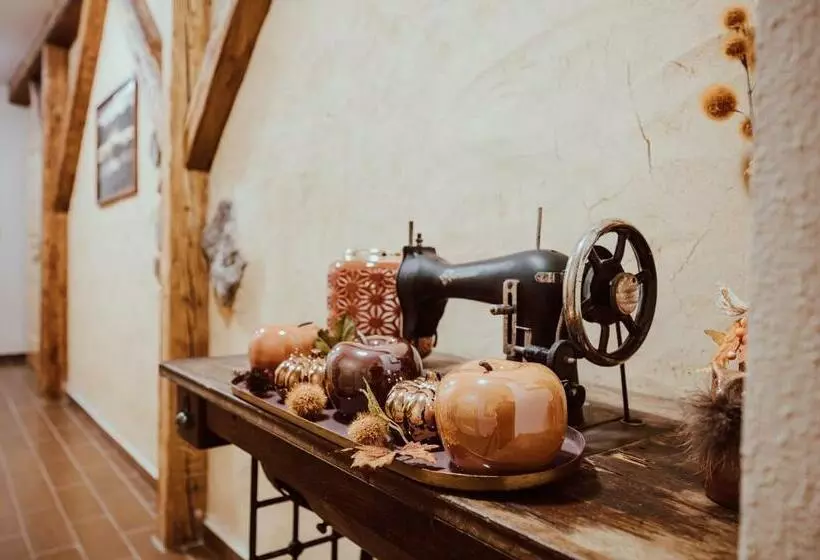 ペンション Penzion Brusinka