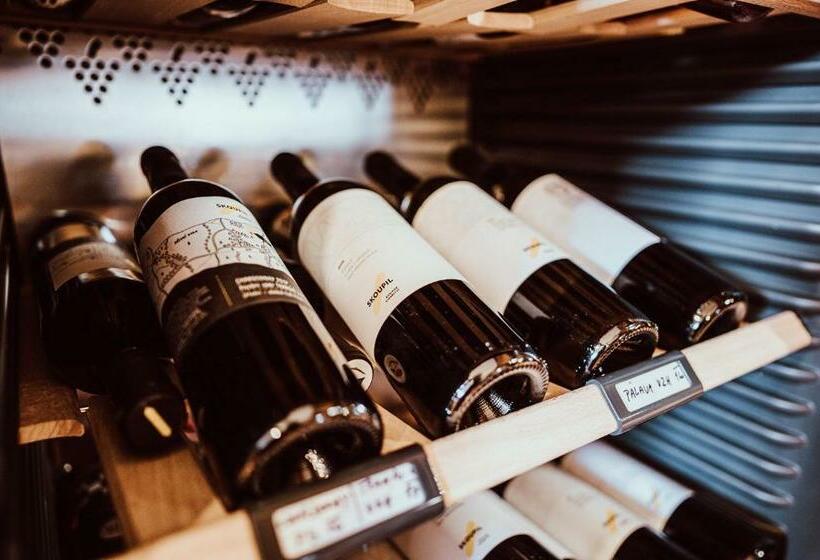 פנסיון Penzion Brusinka