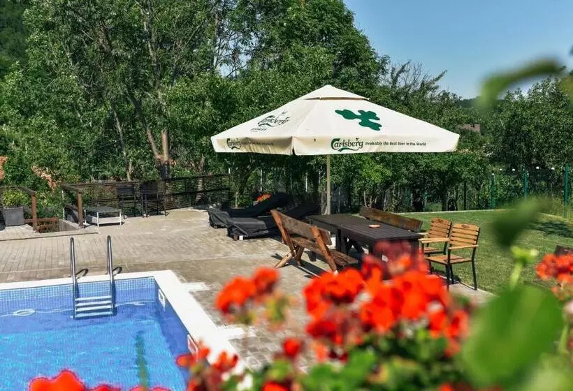 Pensiunea Casa Dacilor