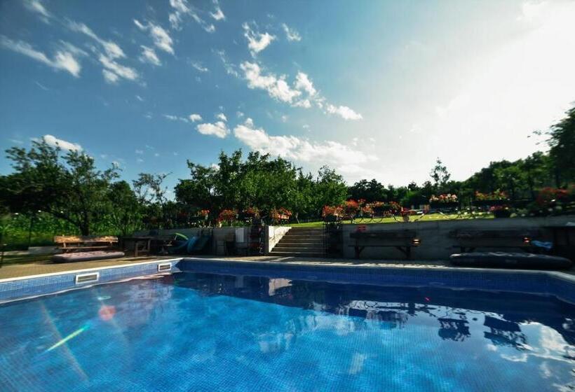 Pensiunea Casa Dacilor