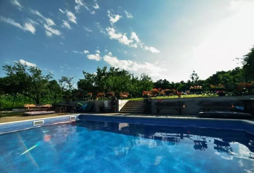 Pensiunea Casa Dacilor