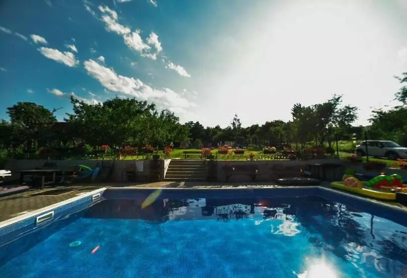 Pensiunea Casa Dacilor