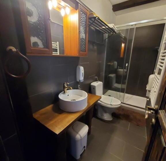 Pensiunea Casa Dacilor