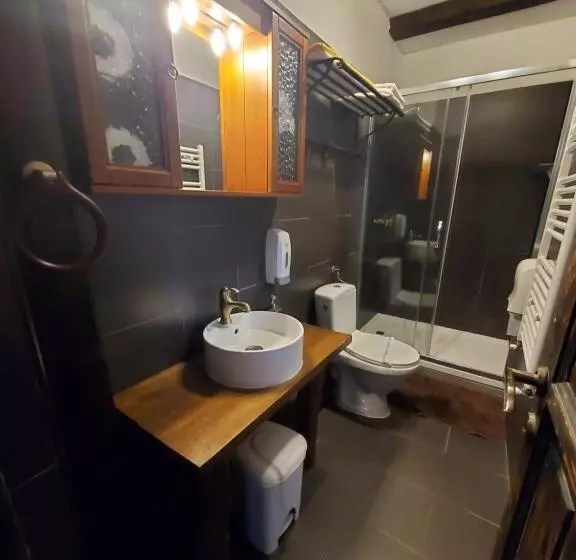 Pensiunea Casa Dacilor