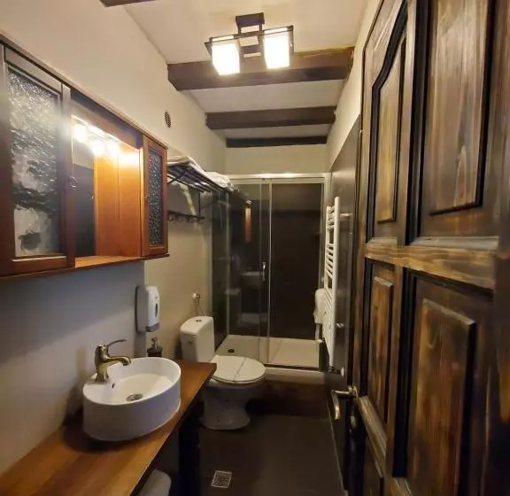 Pensiunea Casa Dacilor