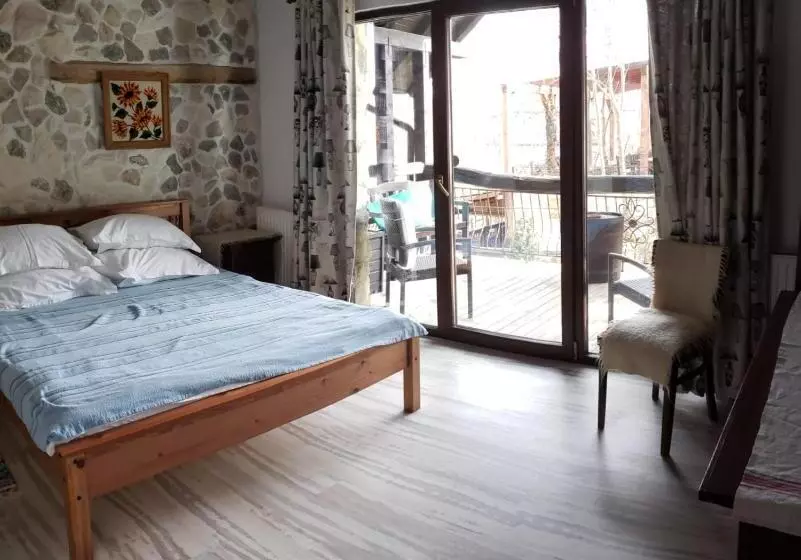 Pensiunea Casa Dacilor