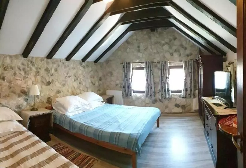 Pensiunea Casa Dacilor