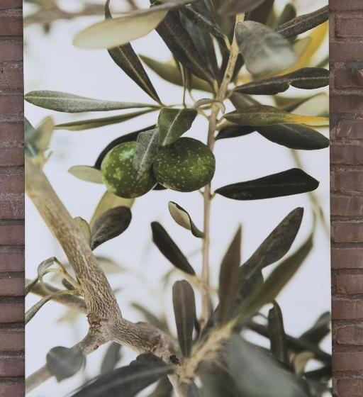 Baart S Bed And Breakfast