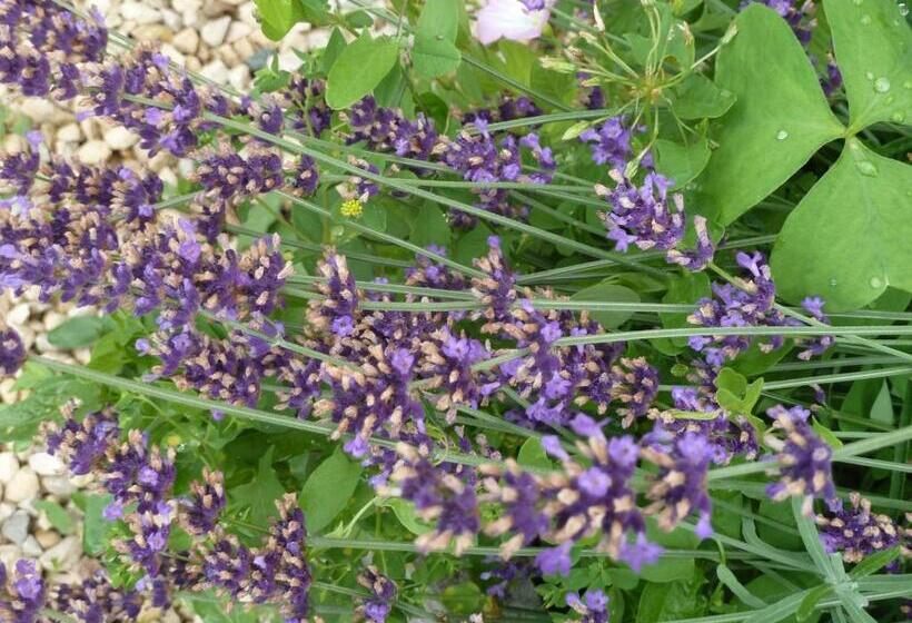 مبيت وإفطار Au Son Du Jardin Poitevin