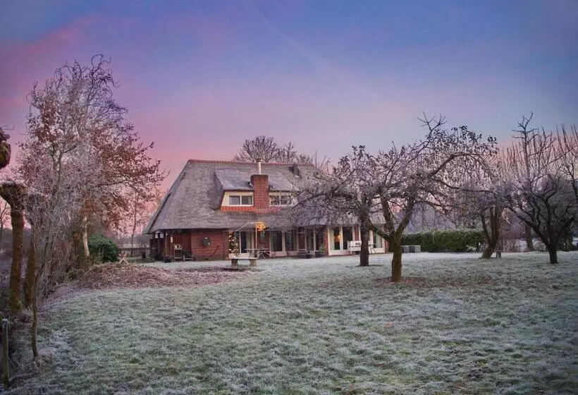 Aamiaismajoitus (B&B) Bed & Brochje Burgum