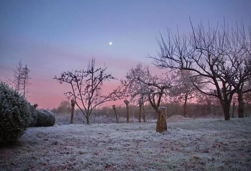 Aamiaismajoitus (B&B) Bed & Brochje Burgum