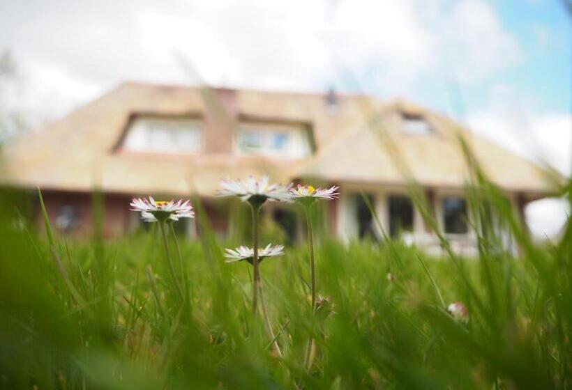 צימר Bed & Brochje Burgum