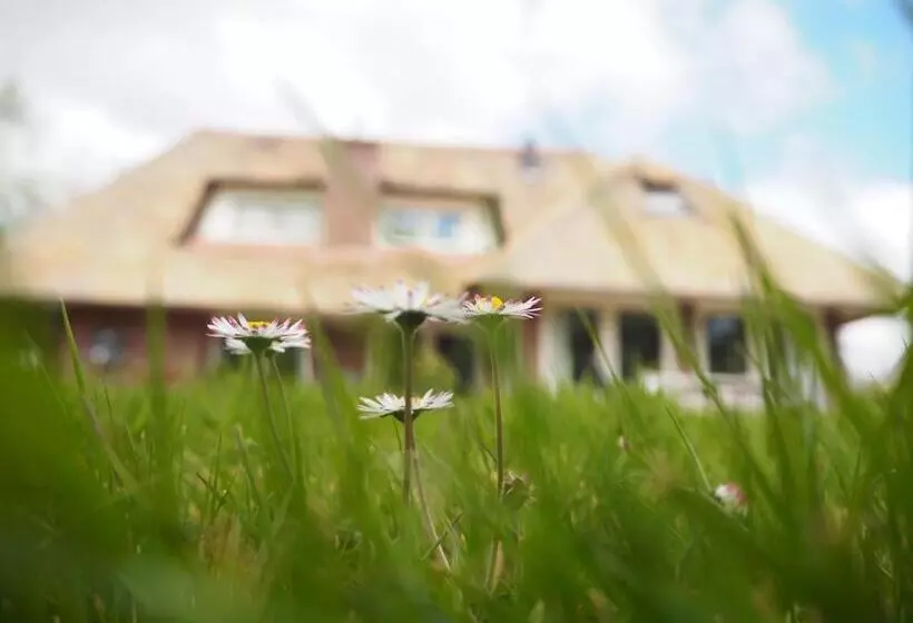 Aamiaismajoitus (B&B) Bed & Brochje Burgum