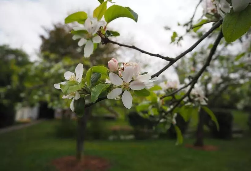 Aamiaismajoitus (B&B) Bed & Brochje Burgum
