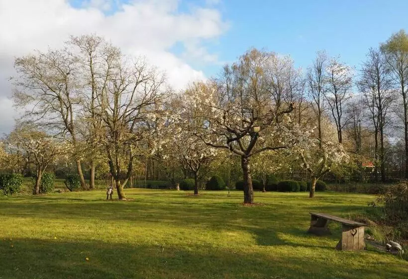 Aamiaismajoitus (B&B) Bed & Brochje Burgum