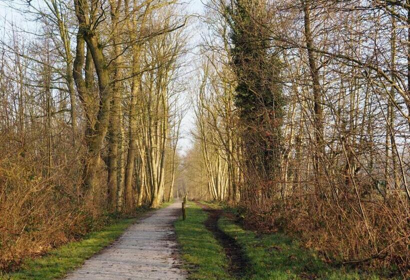 צימר Bed & Brochje Burgum