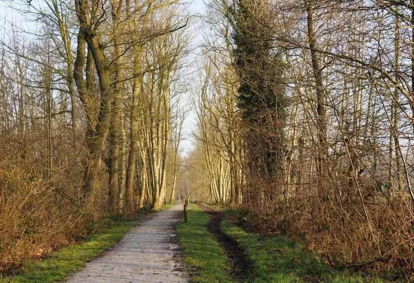 Aamiaismajoitus (B&B) Bed & Brochje Burgum