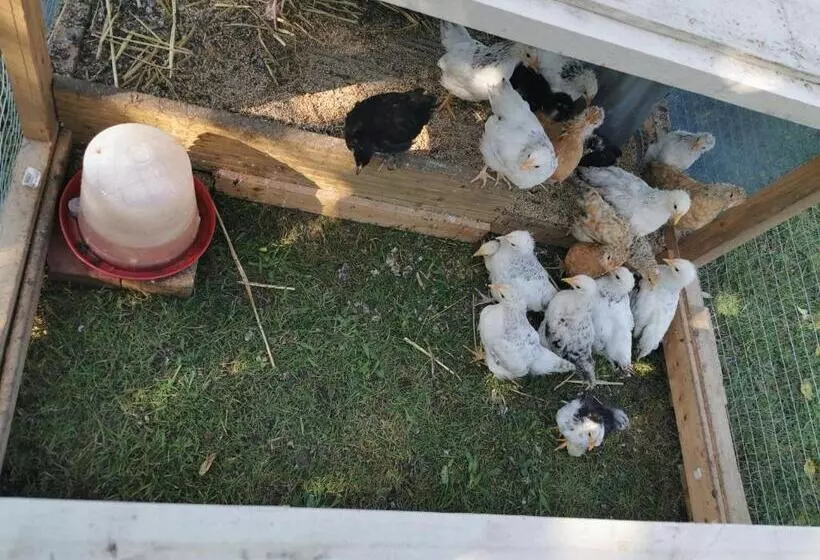 ベッドアンドブレックファースト Bienvenue Chez Moi à Concevreux