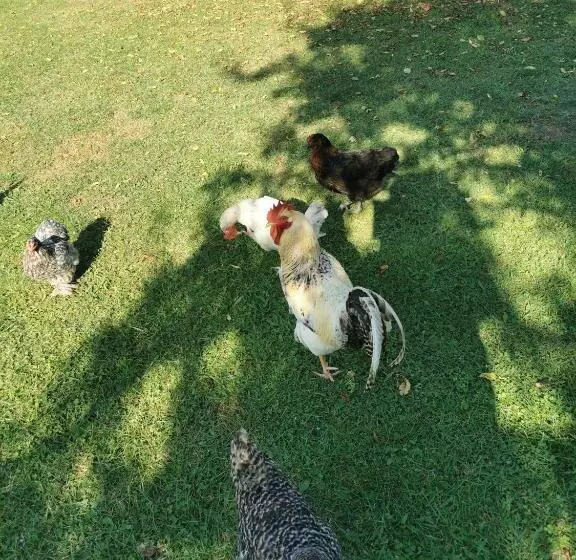 ベッドアンドブレックファースト Bienvenue Chez Moi à Concevreux