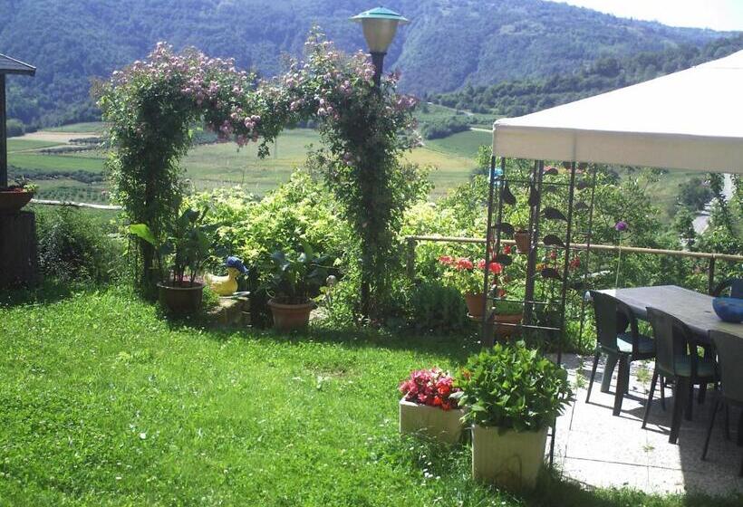 ベッドアンドブレックファースト Cà D Fefi