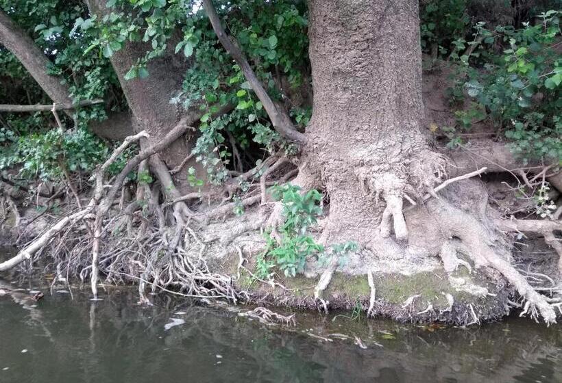 צימר Chambre D Hôtes L Ermite