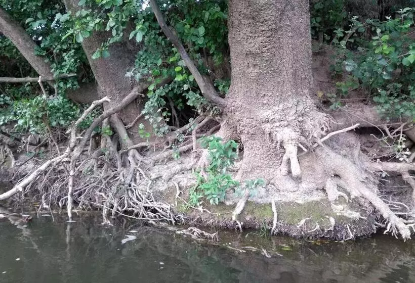 Aamiaismajoitus (B&B) Chambre D Hôtes L Ermite