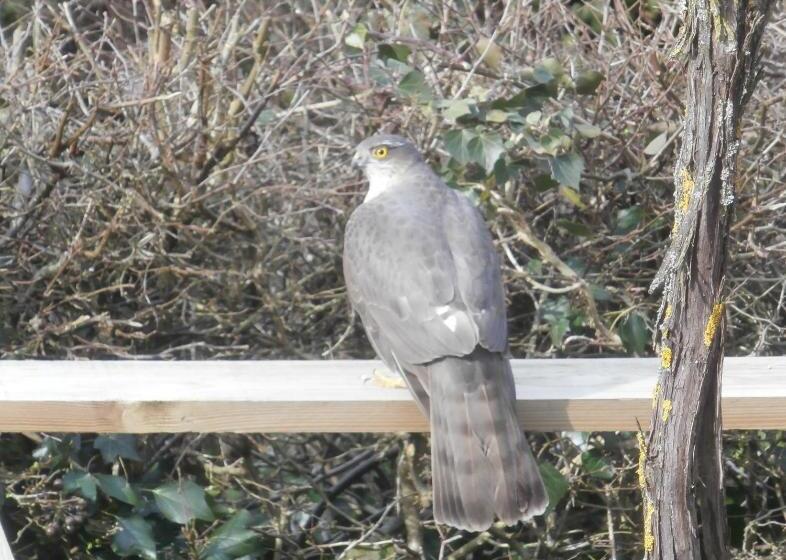 צימר Chambre D Hôtes L Ermite