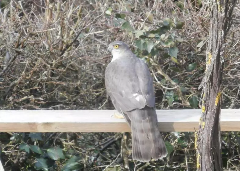 Aamiaismajoitus (B&B) Chambre D Hôtes L Ermite