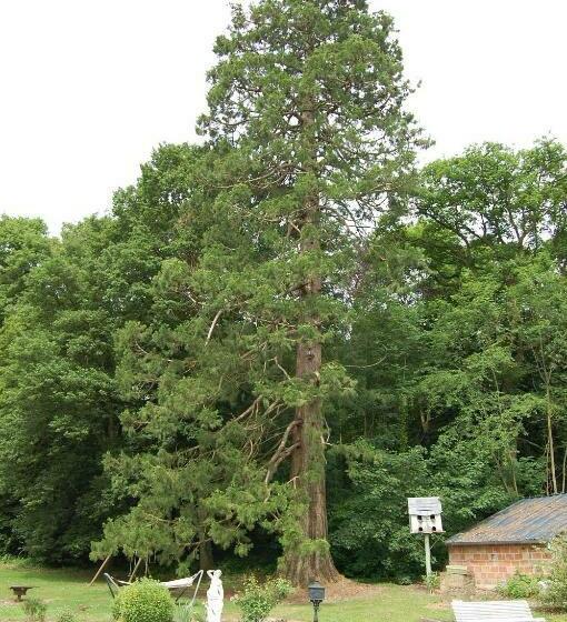 צימר Château De Broyes