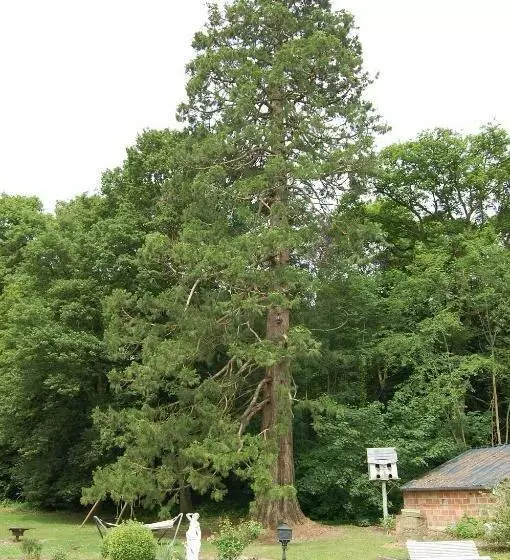 ベッドアンドブレックファースト Château De Broyes