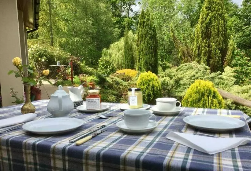 Aamiaismajoitus (B&B) Dwynant   A Room With A View