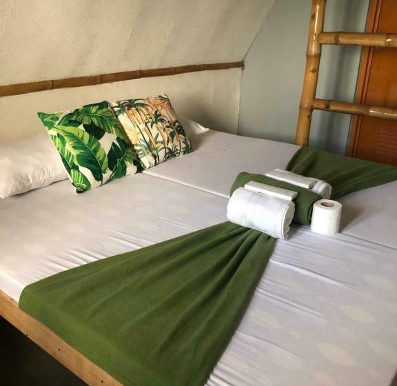 Bed and Breakfast Beach Front Hut   Faith Bay Huts 1