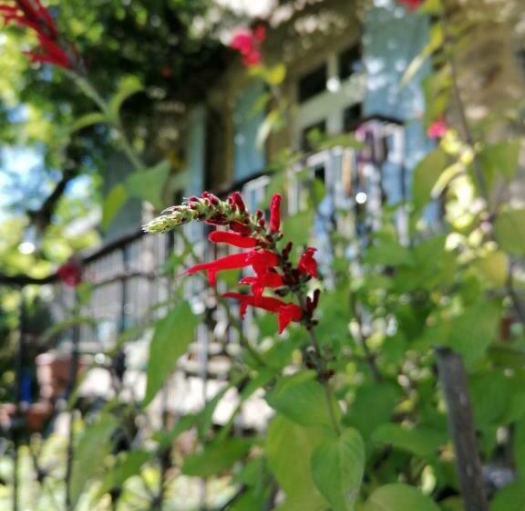 ベッドアンドブレックファースト Le Temps Serein