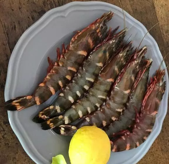 Aamiaismajoitus (B&B) Maison La Vie Est Belle