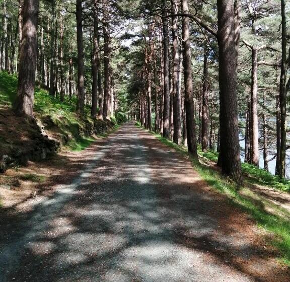 Nocleg ze śniadaniem Relaxing Space