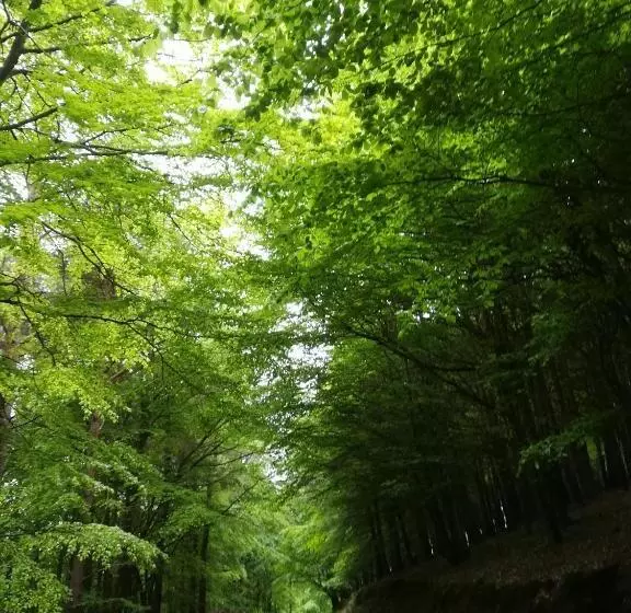 Aamiaismajoitus (B&B) Relaxing Space