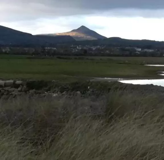 Aamiaismajoitus (B&B) Relaxing Space