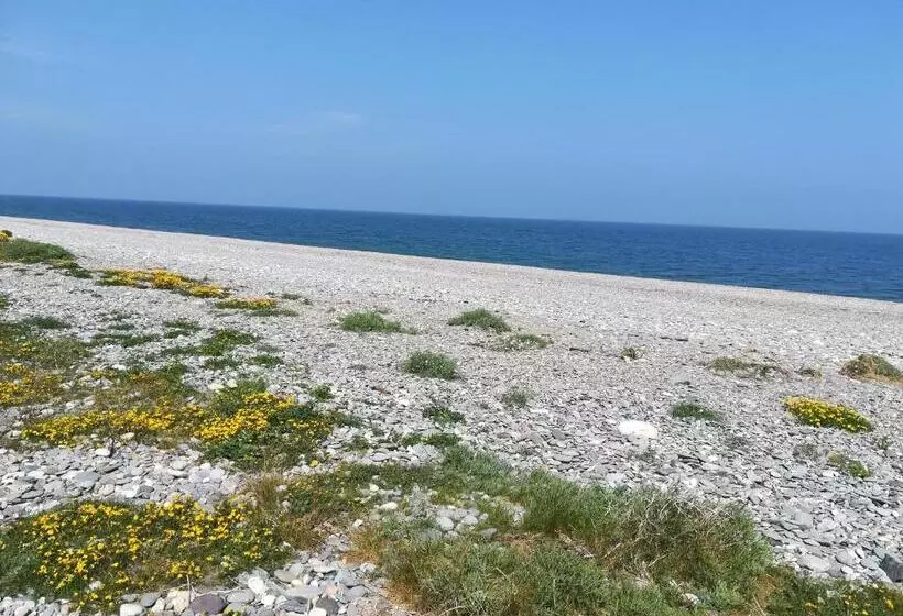 Aamiaismajoitus (B&B) Relaxing Space