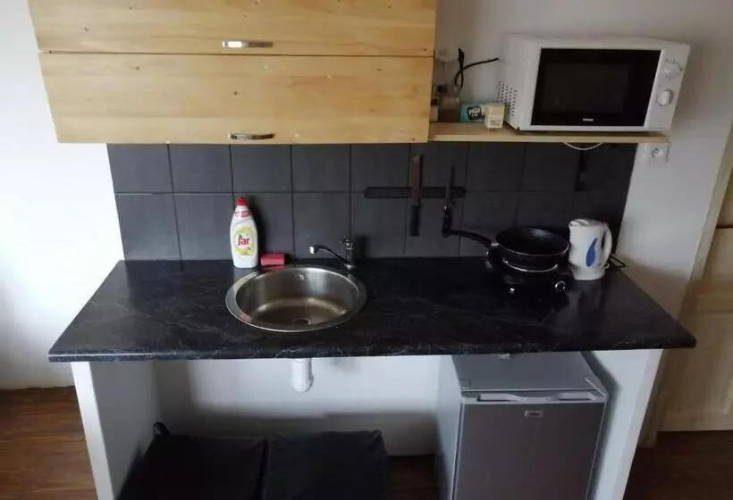 Aamiaismajoitus (B&B) U Dragouna