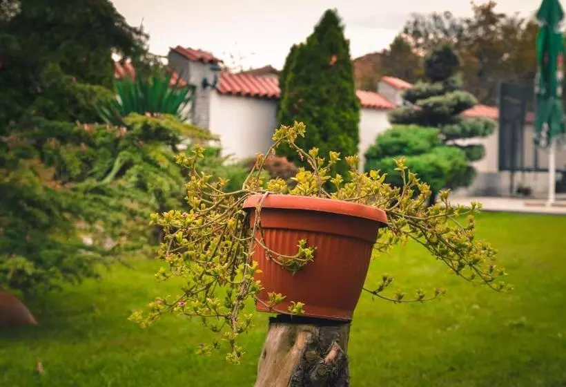 Hotelli хотелски комплекс копитото