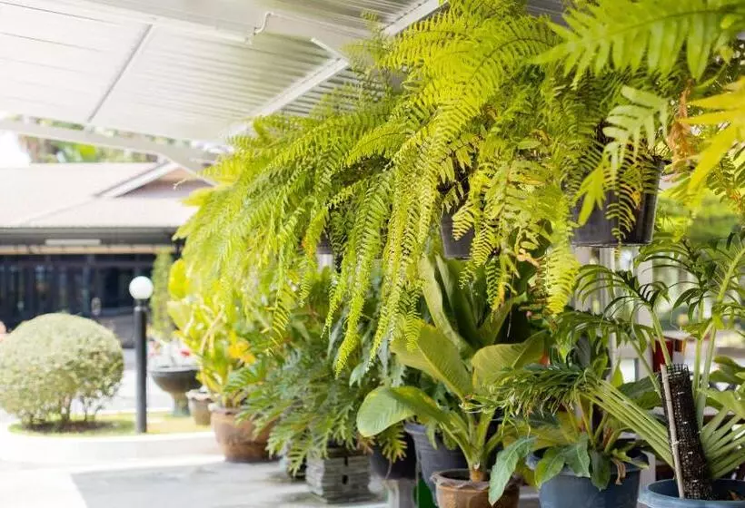 Hotelli โรงแรมมณีสังขะ