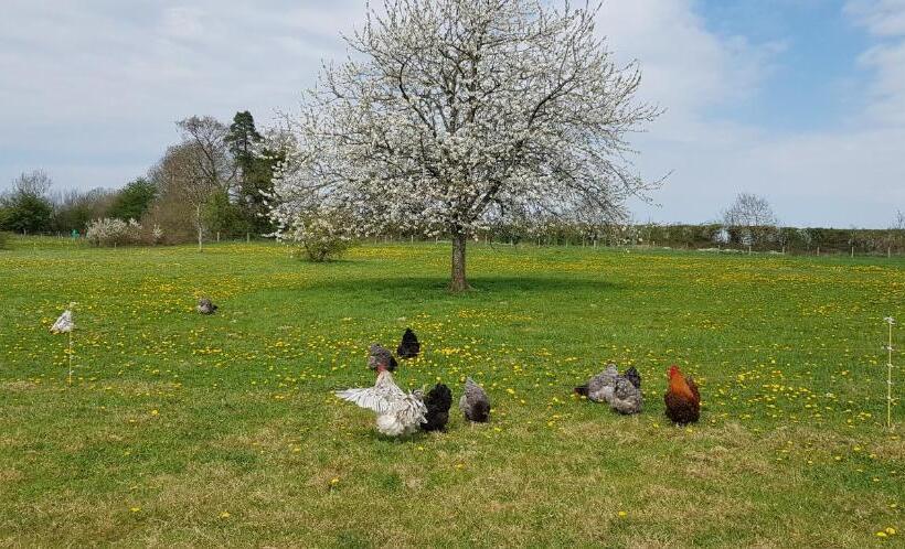 Отель De La Terre Farm Stay