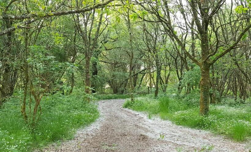 Отель De La Terre Farm Stay