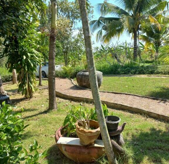 Panzió บ้านพักคุณยายเขียว