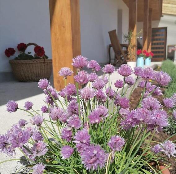 بنسيون Borsika Napterasz Pihenőház