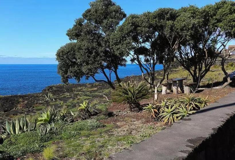 ペンション Casa Da Rocha