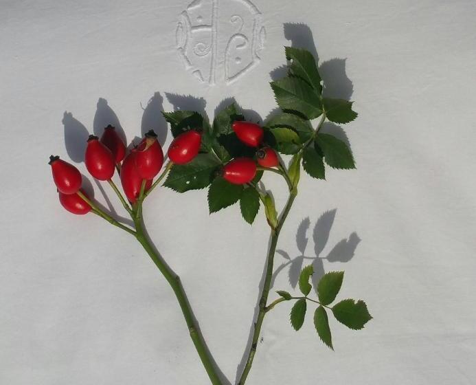 بنسيون Derű Vendégház és Lovasudvar