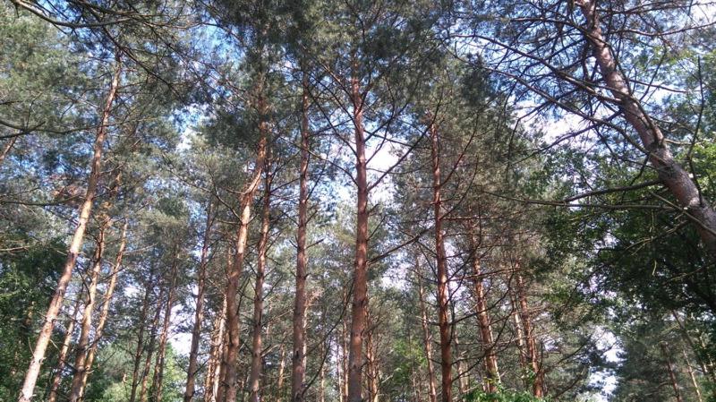 بنسيون Derű Vendégház és Lovasudvar