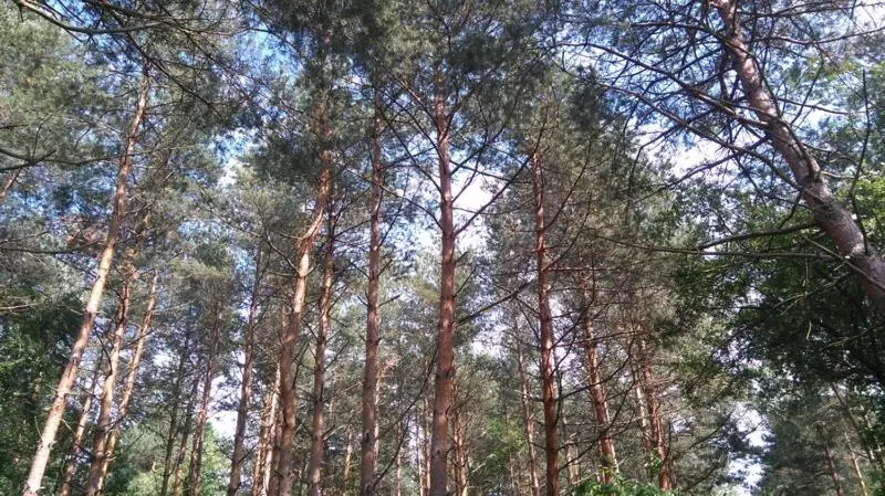 Majatalo Derű Vendégház és Lovasudvar