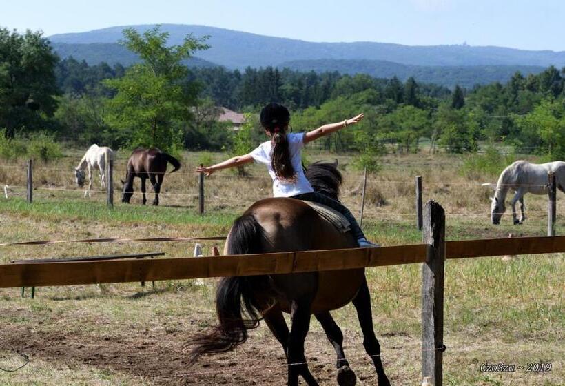 بنسيون Derű Vendégház és Lovasudvar